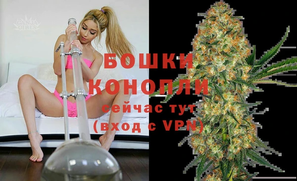 гашик Медногорск