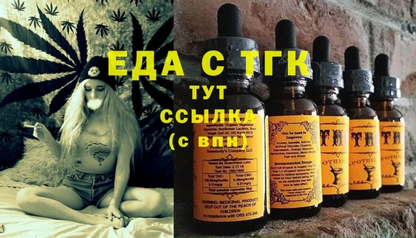 гашик Медногорск