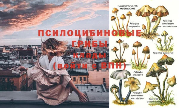 кокс Медвежьегорск